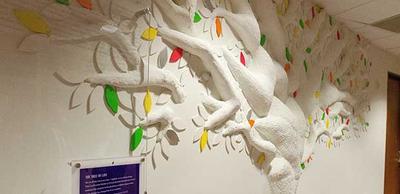 Tree Of Life Unveiled To Honor Kidney Donors Las Palmas